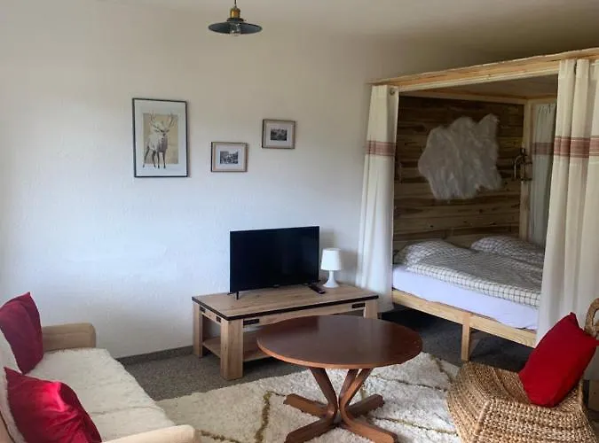 1,5 Piece Апартаменты Лойкербад