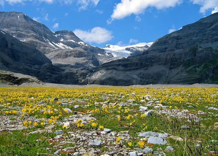 1,5 Piece Лойкербад